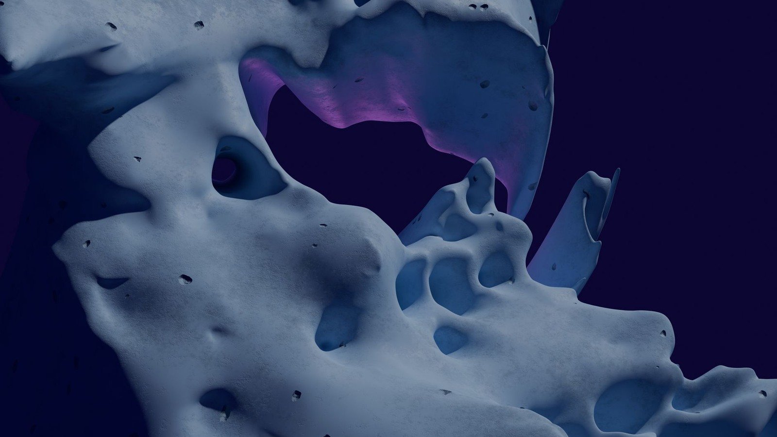 Anatomik 3D modelleme genel görseli